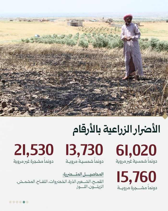 فجر القصير ينطلق غداً 4